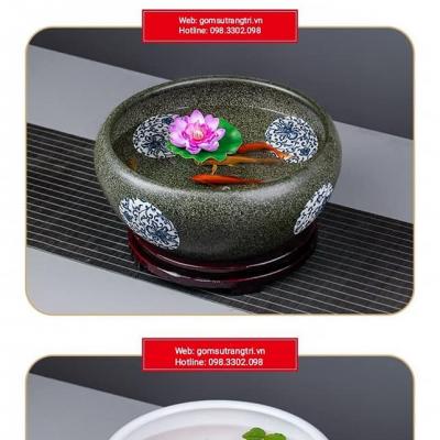 ANG NƯỚC THẢ CÁ THẢ HOA, TRỒNG SEN CẢNH MINI